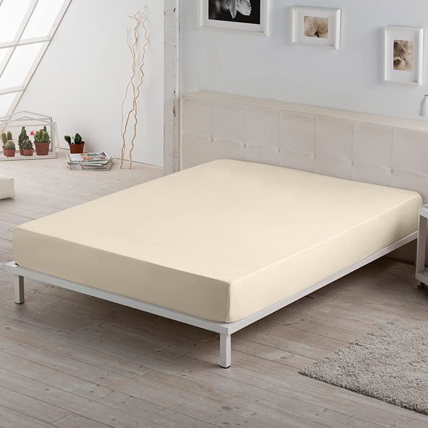 MaxColchon attribute Crema