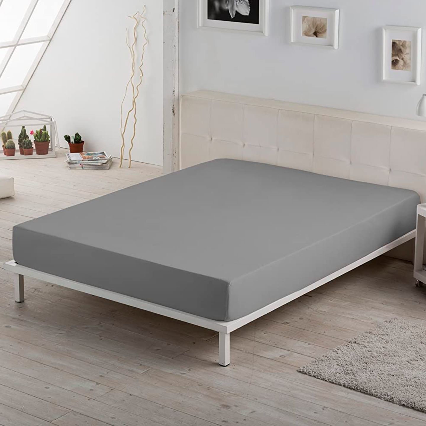 MaxColchon attribute Plomo