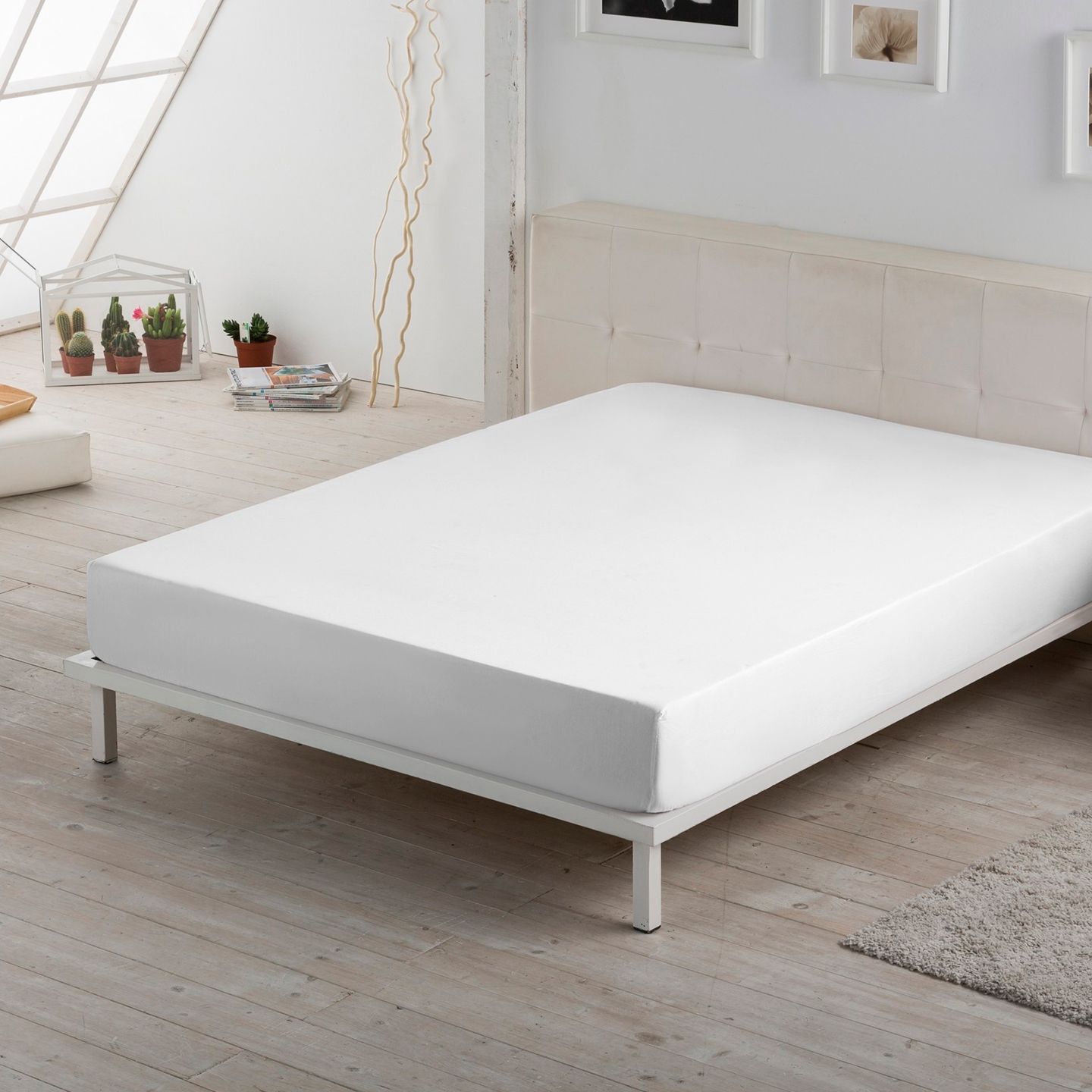 MaxColchon attribute Blanco
