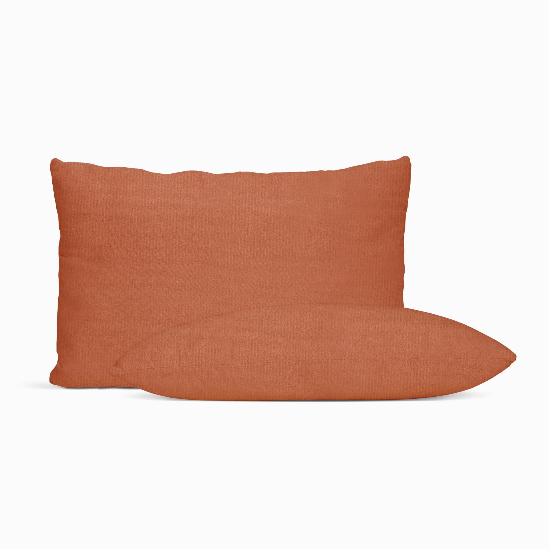 MaxColchon attribute Kittens Terracota