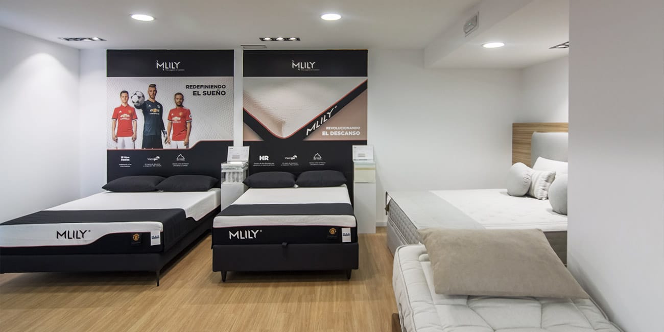 Alicante Gallery - 35 - 0
