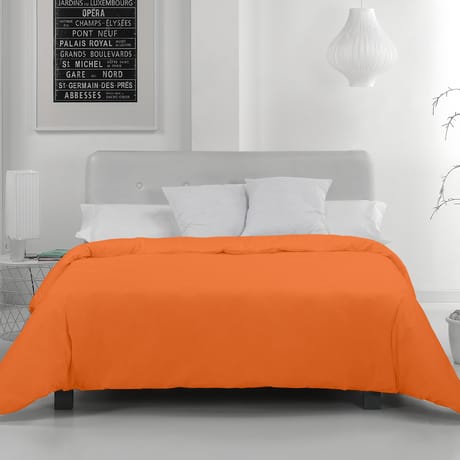 MaxColchon attribute Mango
