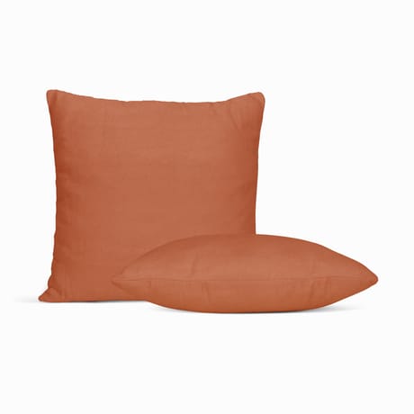 MaxColchon attribute Kittens Terracota
